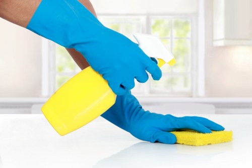 Encrypted online checkout for carpet cleaning services