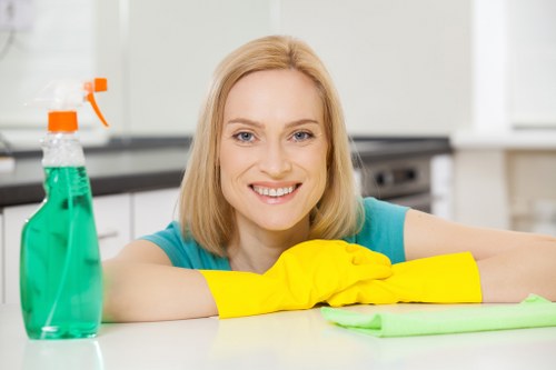 Customer service review notes for a carpet cleaning job