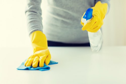 Deep cleaning process for pet stain odour removal in a home interior